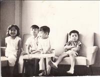 thumbnail of withlanviettrang