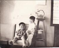 thumbnail of withbroviet