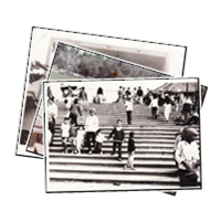 Images from Bao (Young Scott)